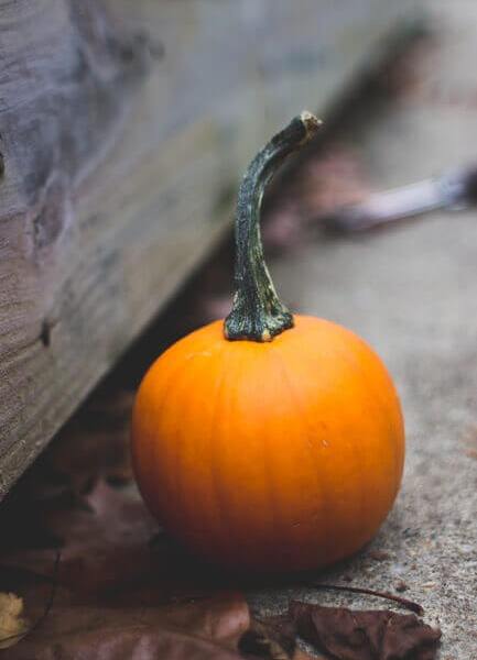 Crime Rates on Halloween
