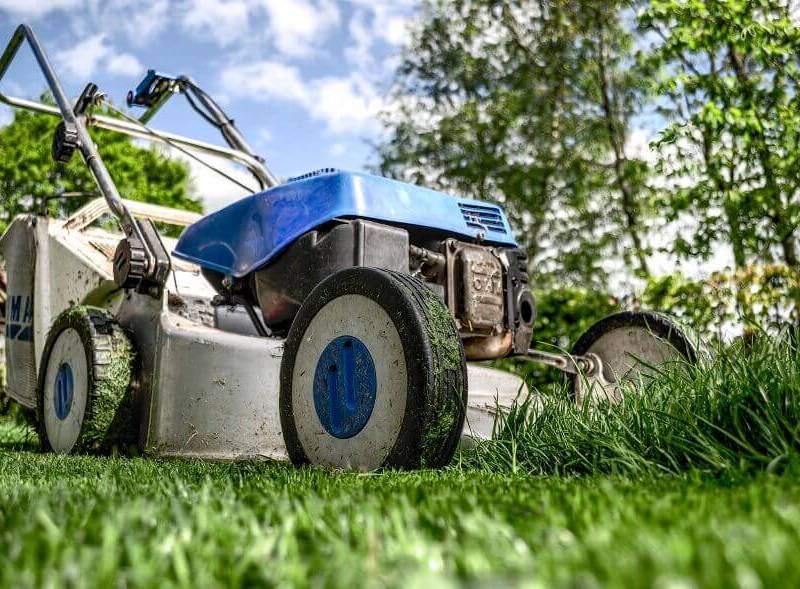 SafeStreets yard's maintenance