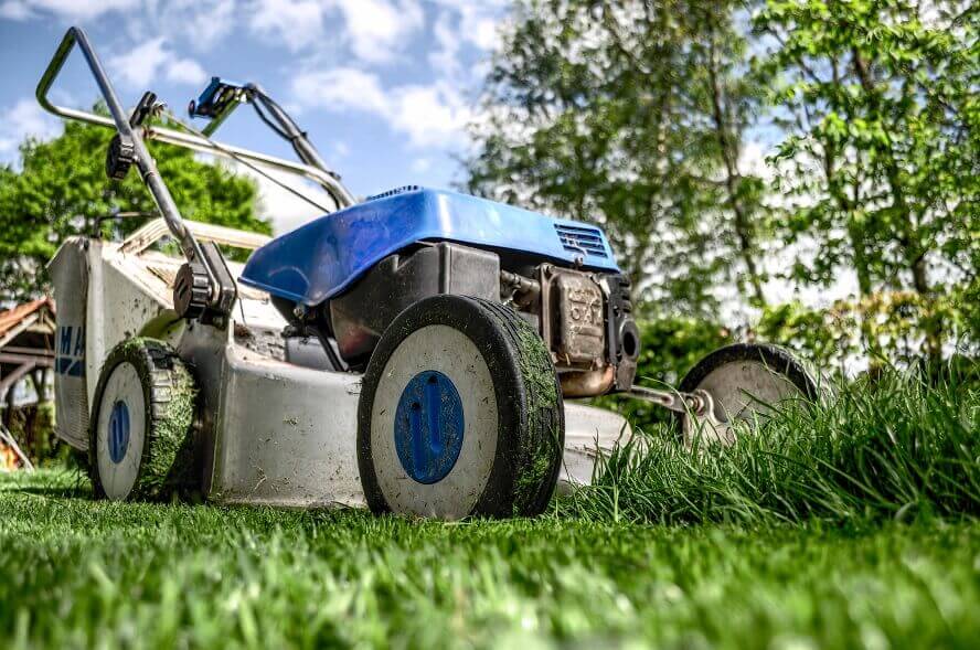 SafeStreets yard's maintenance