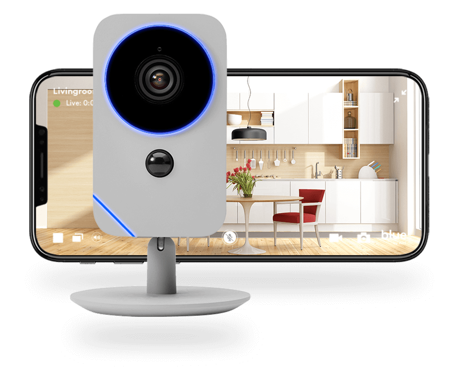 Blue indoor camera pearl gray with phone